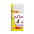 croquette pour chat royal canin sterilised 37 paquet de 12kg