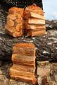 bois de chauffage Firewood