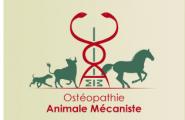 ecole-osteopathie-animale.com : Un nouveau métier.