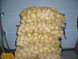 pomme de terre nicola a 0.60 le kilo