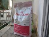 Croquettes chats 10 kg Royal Canin Baby