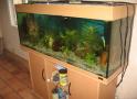 aquarium 240 litres