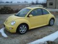 volkswagen beetle-new gls