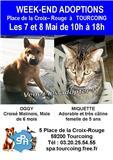 annonce gratuite 10318 2